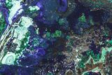 Polished Azurite and Malachite Section - Russia #380196-1